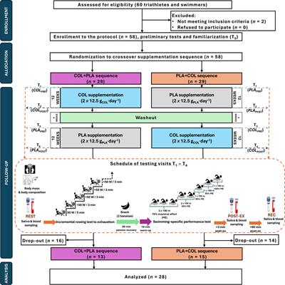 The effect of 12-week high-dose Colostrum Bovinum supplementation on immunological, hematological and biochemical markers in endurance athletes: a randomized crossover placebo-controlled study